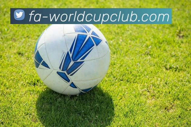 世界杯官方投注APP 封面图